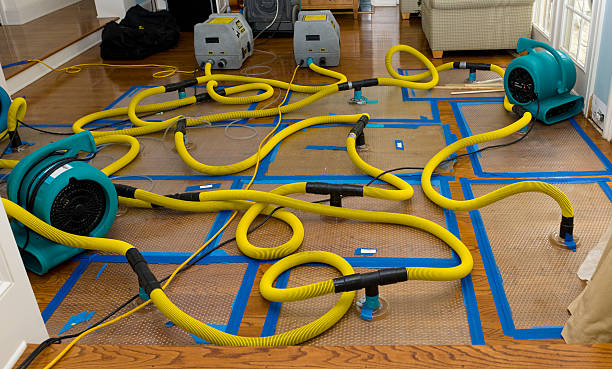 Professional Structural Drying And Dehumidification technician working in Southmont, NC